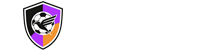 足球直播
